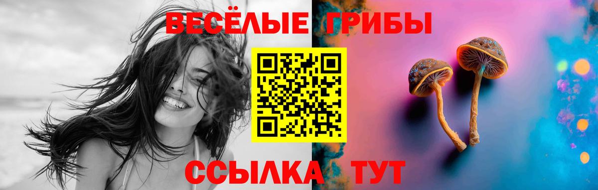 Псилоцибиновые грибы Magic Shrooms  Вход с VPN  Галлюциногенные грибы прущие грибы  Сосновый Бор 
